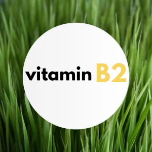 vitamin b2.png