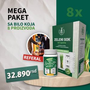 Mega paket