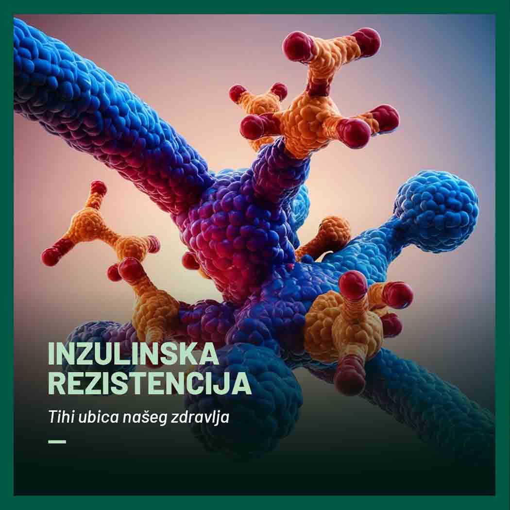 Blog Inzulinska rezistencija