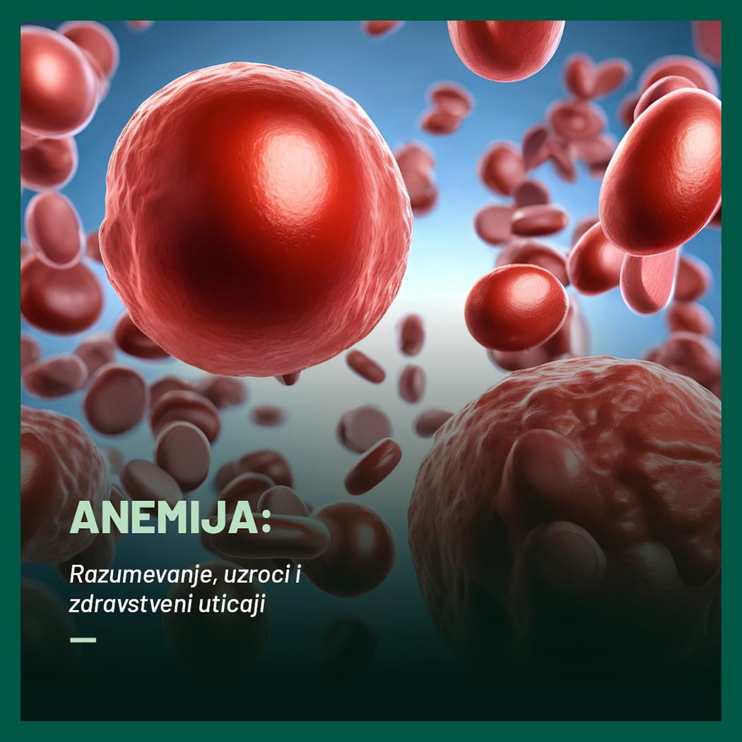 anemija 1