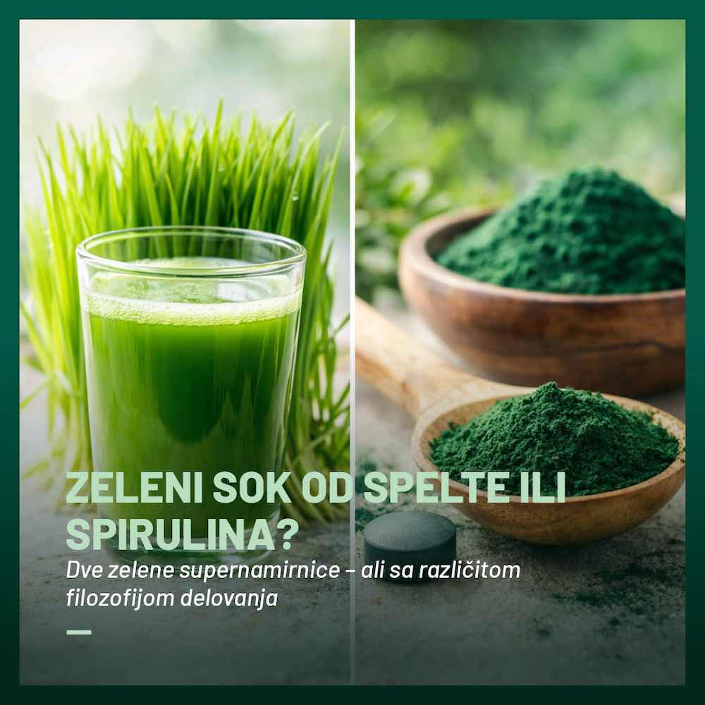 Zeleni sok od spelte ili spirulina poređenje - blog Eliksir Vitalnosti