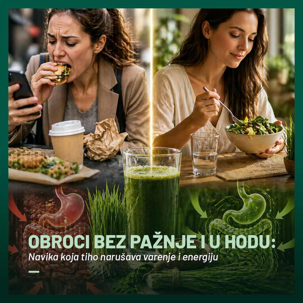 obroci blog